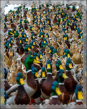 Mallards Framed Poster, Multi-Color