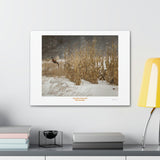 Canvas Gallery Wraps