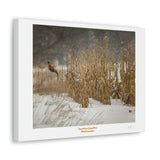 Canvas Gallery Wraps
