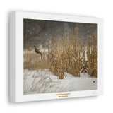 Canvas Gallery Wraps