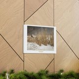 Canvas Gallery Wraps