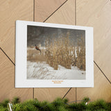Canvas Gallery Wraps