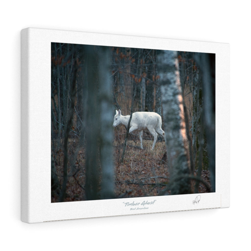 Timber Ghost - Canvas Gallery Wrap