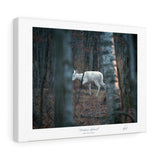 Timber Ghost - Canvas Gallery Wrap