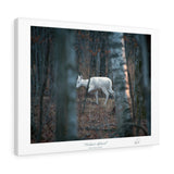 Timber Ghost - Canvas Gallery Wrap