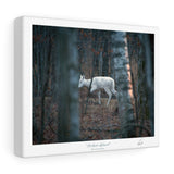 Timber Ghost - Canvas Gallery Wrap