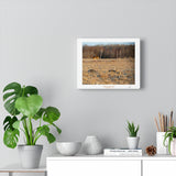 Tale of Two Tails - Canvas Gallery Wrap