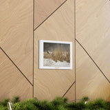 Canvas Gallery Wraps