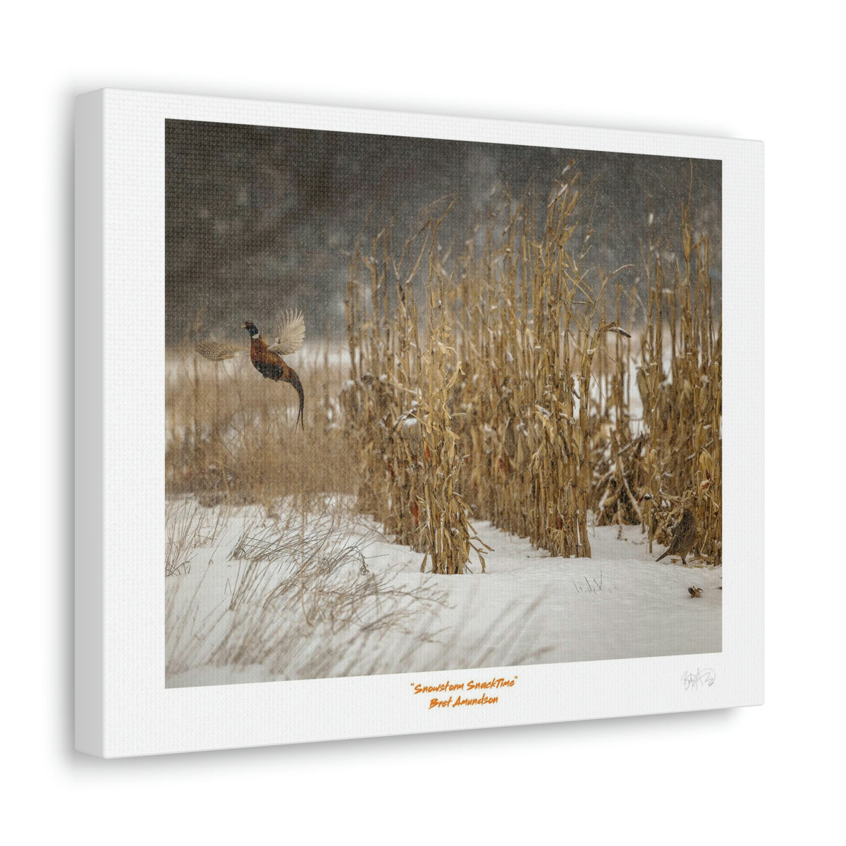 Canvas Gallery Wraps
