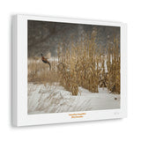 Canvas Gallery Wraps