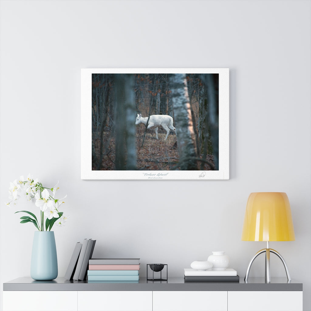 Timber Ghost - Canvas Gallery Wrap