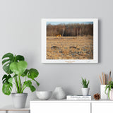 Tale of Two Tails - Canvas Gallery Wrap