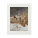 Snowstorm Rooster - Bret Amundson - Fine Art Prints (Passepartout Paper Frame)