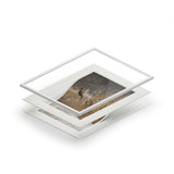 Snowstorm Rooster - Bret Amundson - Fine Art Prints (Passepartout Paper Frame)