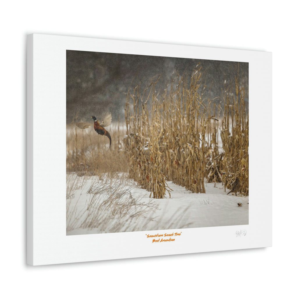 Canvas Gallery Wraps