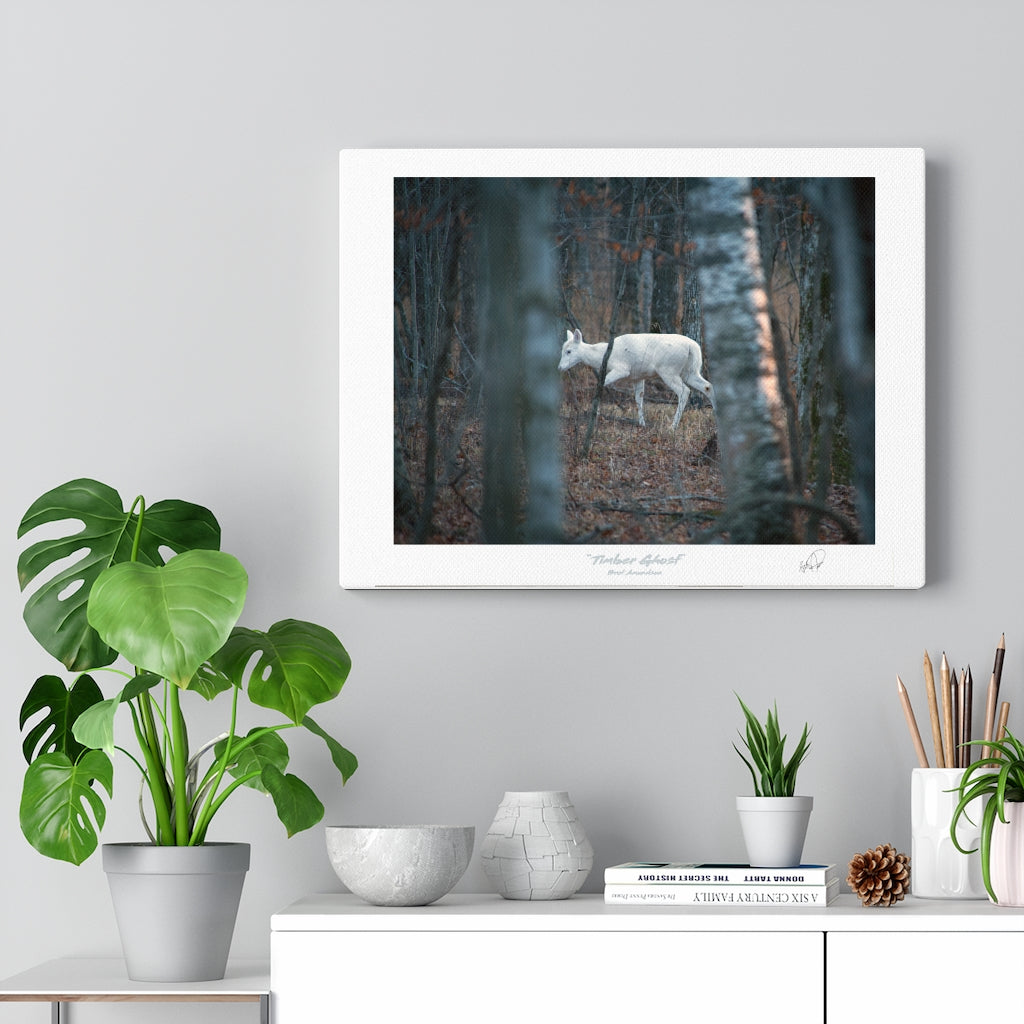 Timber Ghost - Canvas Gallery Wrap