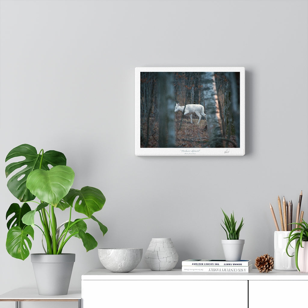 Timber Ghost - Canvas Gallery Wrap