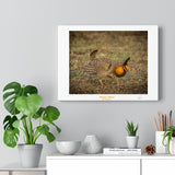 Chicken Dance - Canvas Gallery Wraps