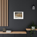 Canvas Gallery Wraps